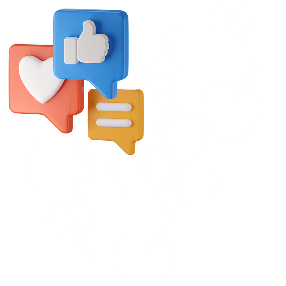 Review & Feedback Programs